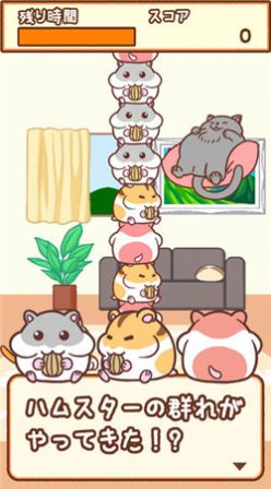 猫咪拳