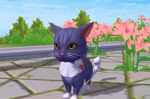 《创造与魔法》贝雅新猫怎么获得 贝雅新猫获得方法介绍