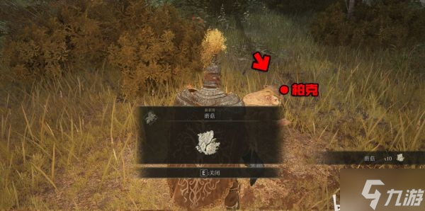 《艾尔登法环》柏克支线任务指南
