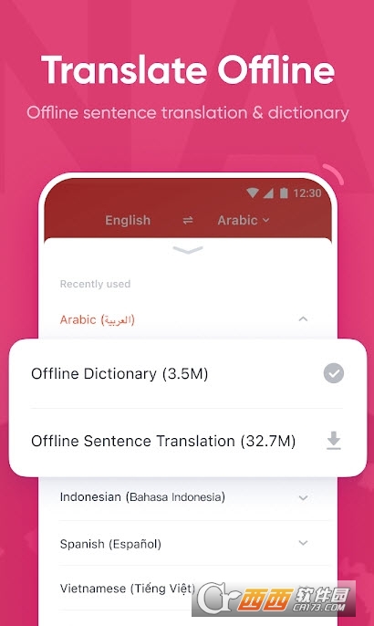 U-Dictionary有道词典