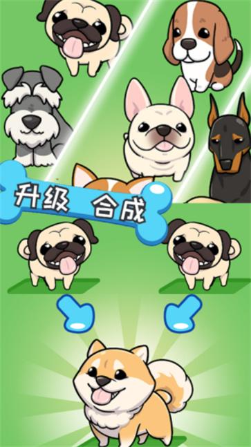 哈士奇萌宠屋