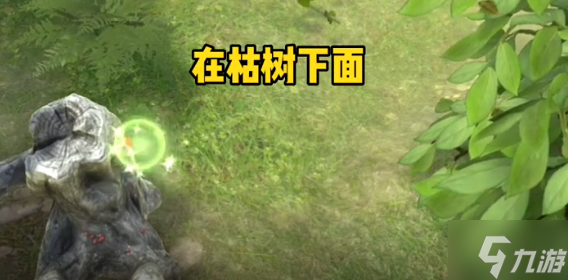 夺笋高手隐藏彩蛋触发方法大全