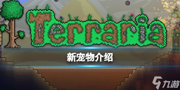 《泰拉瑞亚》新宠物怎么获取 新宠物介绍