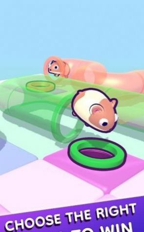 管道仓鼠游戏中文版（Tube Hamster）图片1