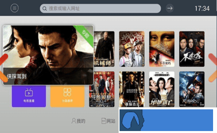 飞视浏览器领先版