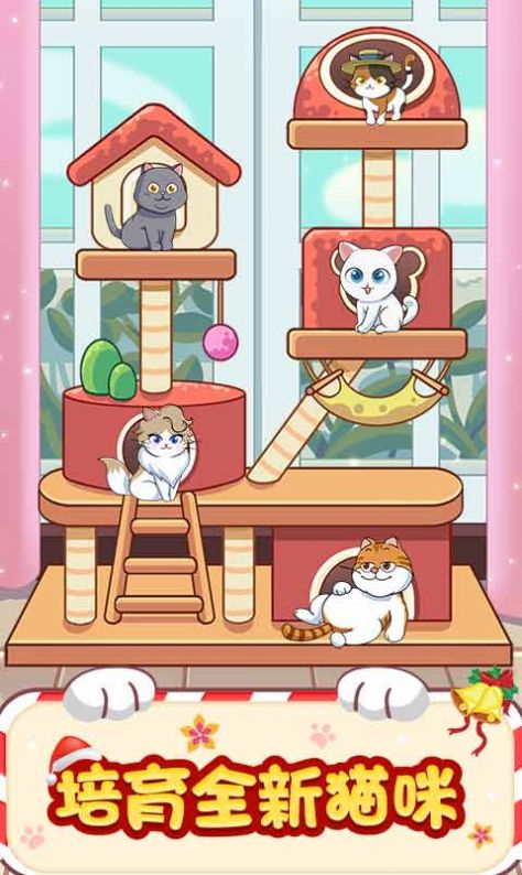 猫咪房东游戏官方版图片1